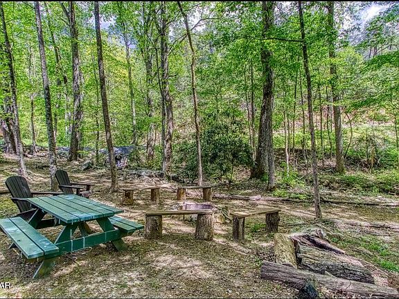 3rd image of 2561 Black Bear Ln