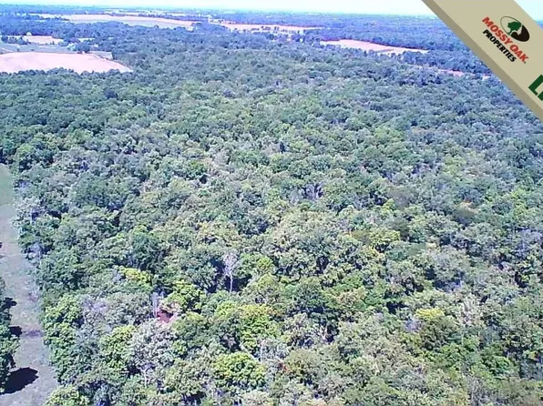 Indian Ridge Rd, Clay City, IL 62824