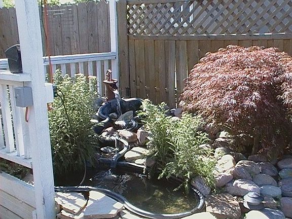 back yard landscape