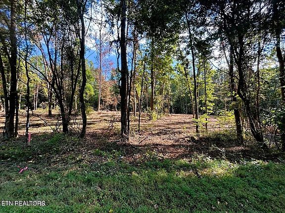 2nd image of 55 Pleasant Hill Rd Lot 1