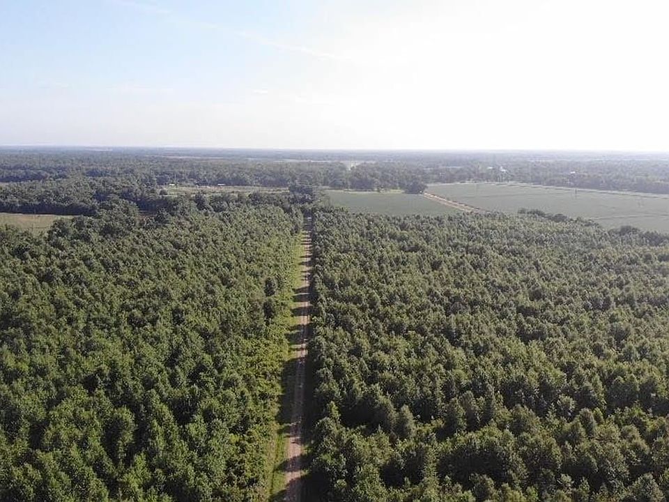 Oldenwald A 1