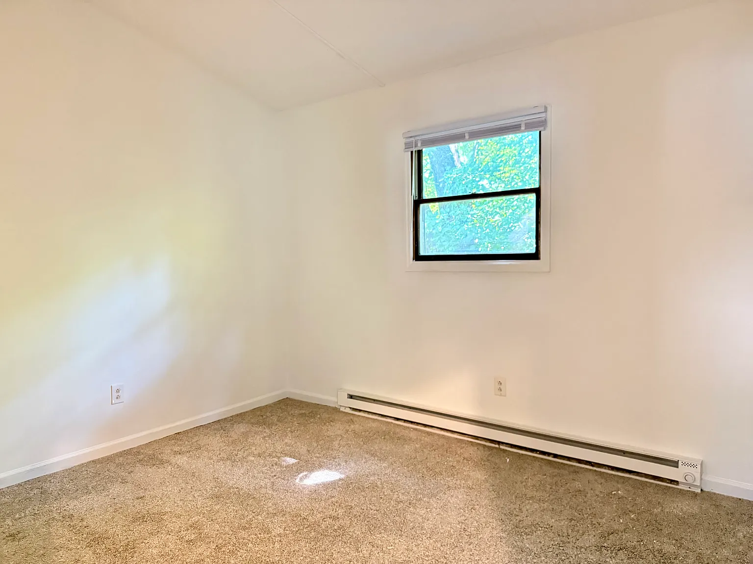 2 bed, 800 sqft, $1,250 — Photo 4