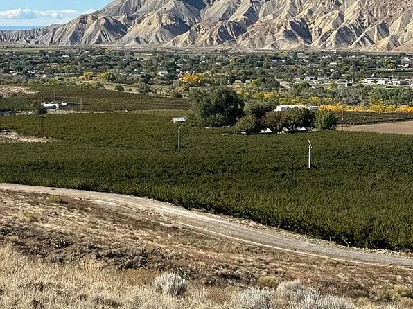 3750 Horse Mountain Rd, Palisade, CO 81526