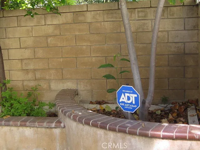 19 Coriander — Photo 21