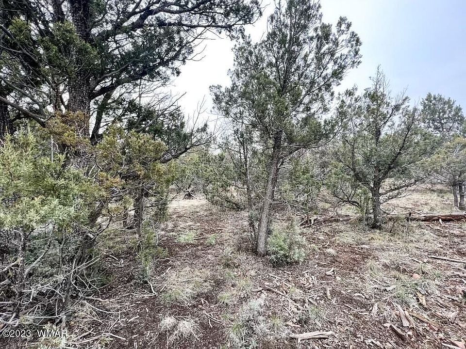 1265 Elm St, Pinedale, AZ 85934 MLS 244966 Zillow