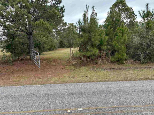 31849 Randolf Ave, Lillian, AL 36549