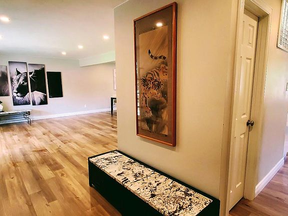 Entrance, living room to the left, powder bathroom through the door, and the rest of the house to the right