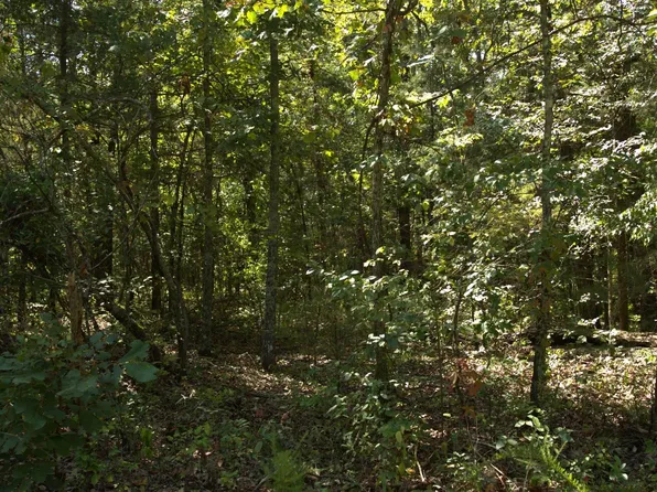 1505 Blackbird Ln, Horseshoe Bend, AR 72512