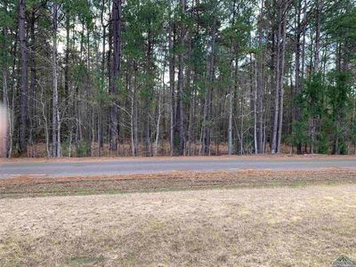 Tbd Cr 1520, Avinger, TX, 75630