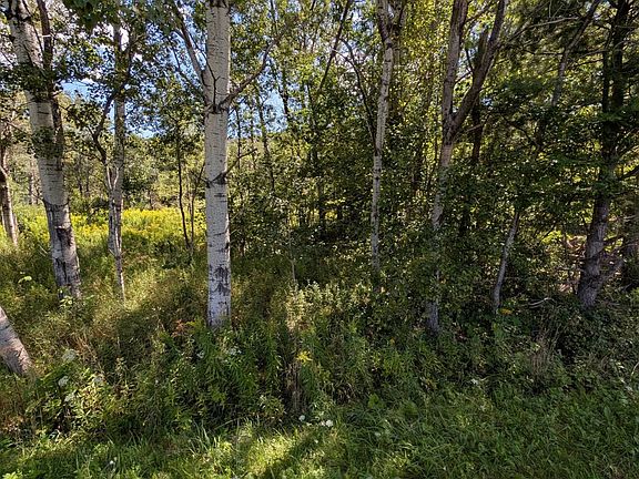 3rd image of L1912 South St