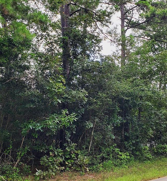 2nd image of 4041 Ben Milam St