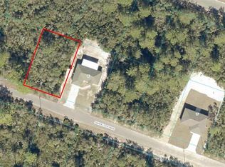 0 Fisher Loop Pass #10, Ocklawaha, FL 32179