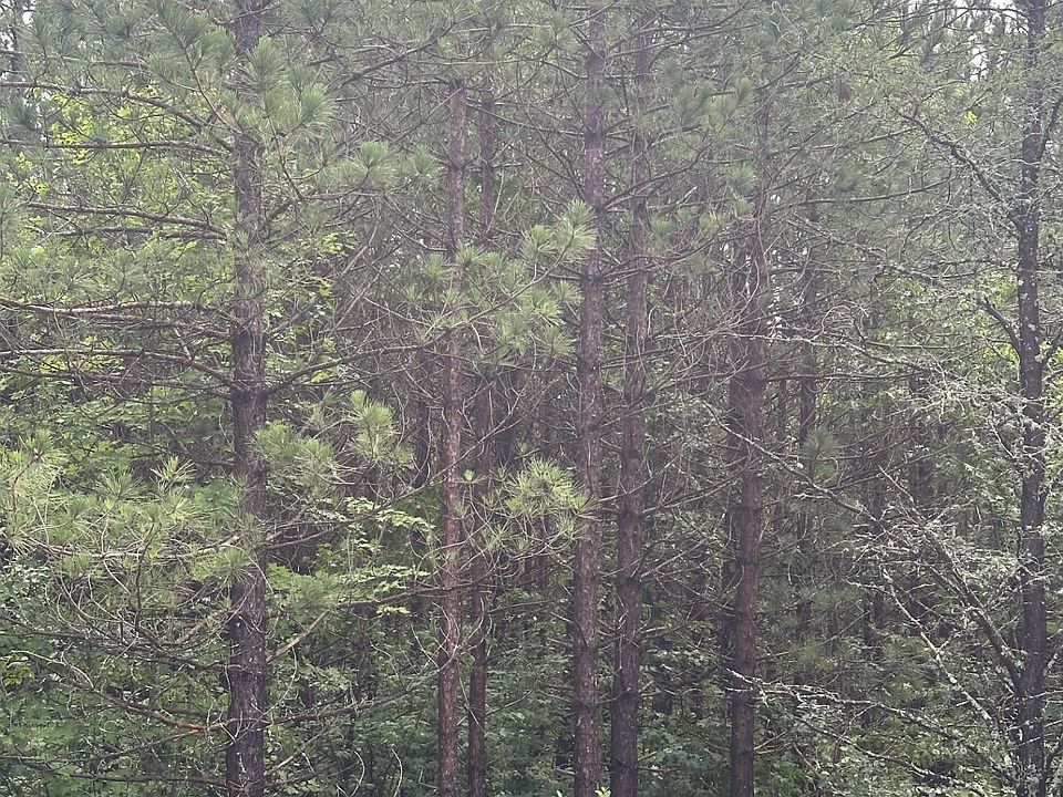 1st image of Near Cth Y S Rns Lot 9