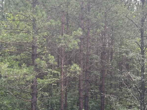 Near Cth Y S Rns Lot 9, Tomahawk, WI 54487