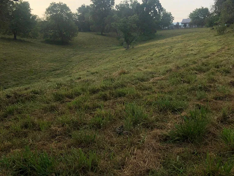 5130 Green Rd — Photo 14