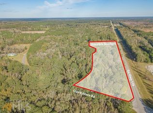 6 Acres Hwy #119, Clyo, GA 31303