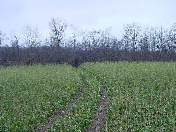 5th image of N3711 Cloverland Road