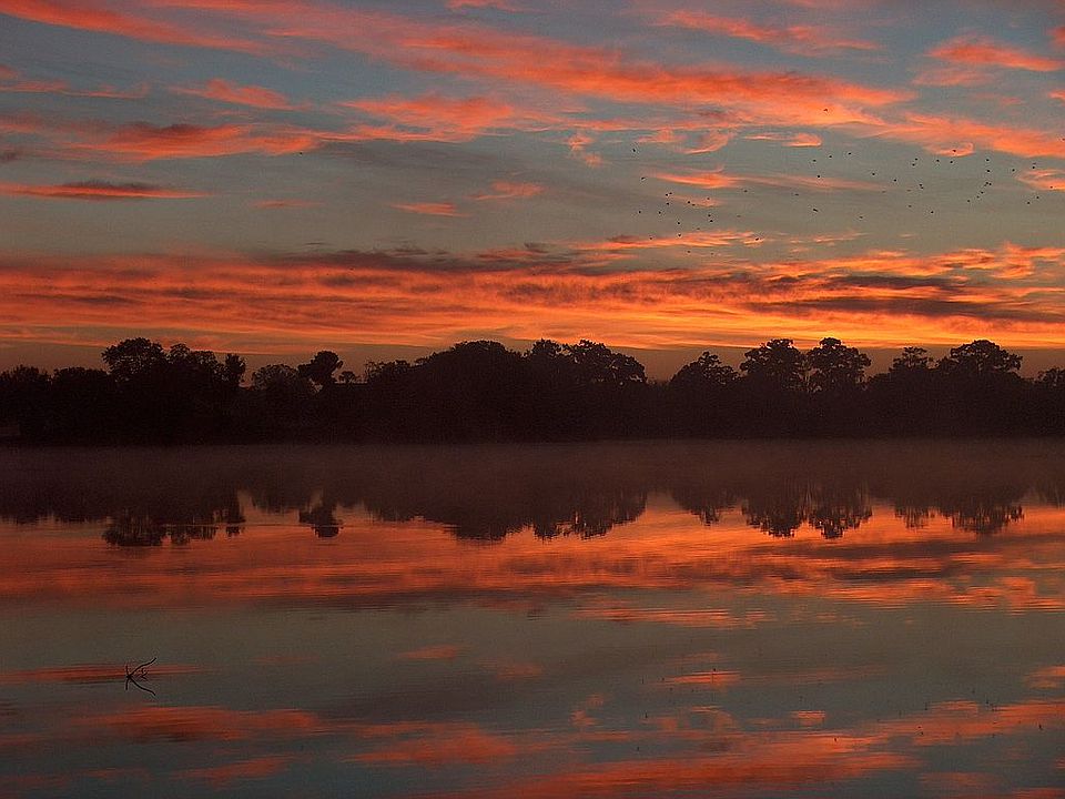 Nature's Majesty @ Sunrise !