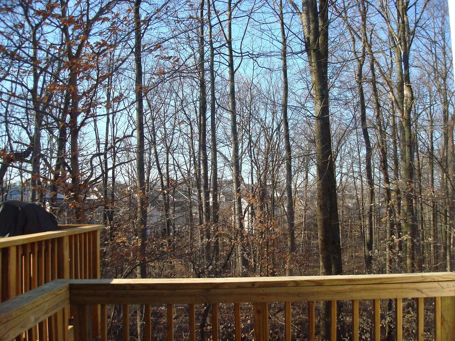 13704 Harvest Glen Way — Photo 3