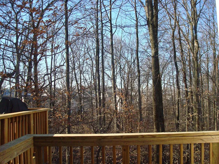 deck back to the wood