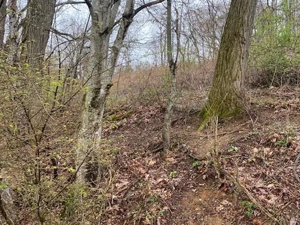 Madison Dr, Rosedale, VA 24280