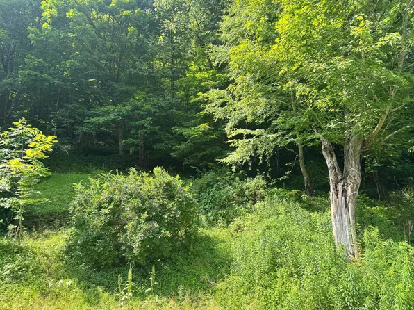 56 Maple St, Richwood, WV 26261