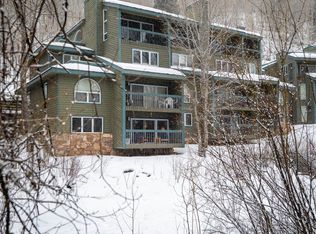 455 S Pine St #D03, Telluride, CO 81435