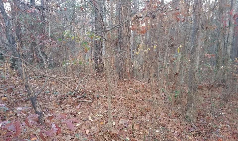1st image of 3000 Old Virginia Trl