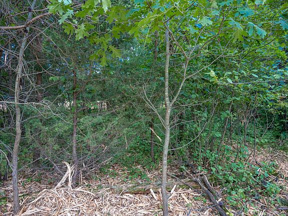 5th image of LOT 42 Sioux Ln