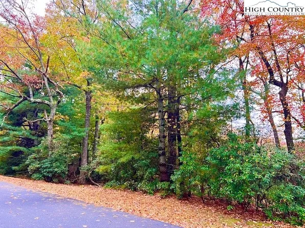 TBD Troon Avenue #167, Roaring Gap, NC 28668