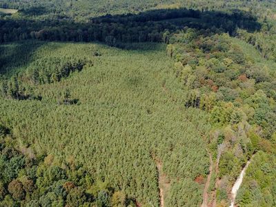 0 Haglersville Rd LOT 1, Henry, TN, 38231