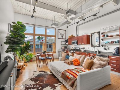 231 Robinson St UNIT 338, Basalt, CO, 81621