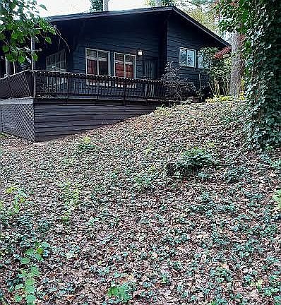 Wooded Chalet