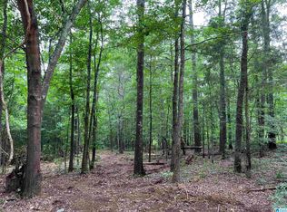 Mahaffey Rd, Eastaboga, AL 36260