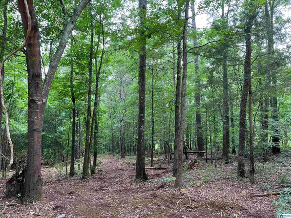 Mahaffey Rd, Eastaboga, AL 36260