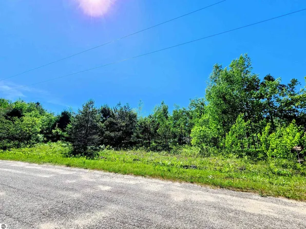 111 Breezewood Dr, Mancelona, MI 49659