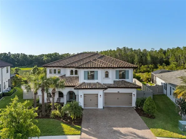 28512 Picana Ln, Wesley Chapel, FL 33543