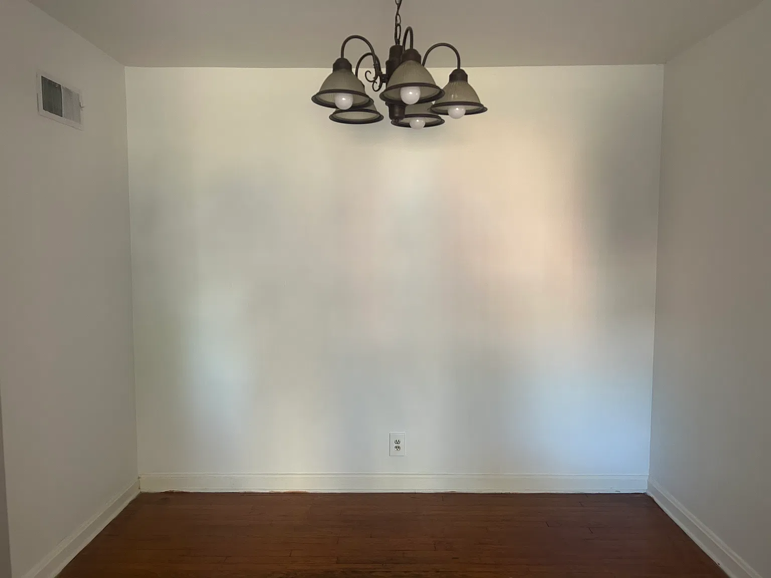 1 bed, $900 — Photo 4