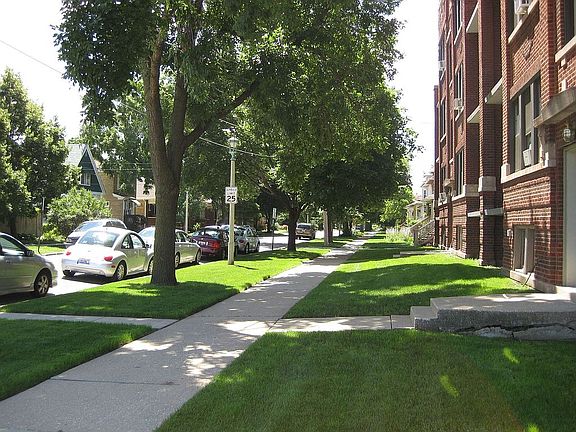 Well maintained front yard