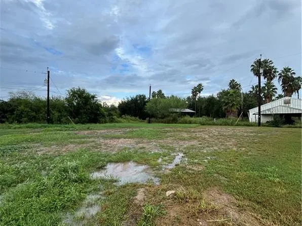 120 Spanish Oak Dr, Alamo, TX 78516