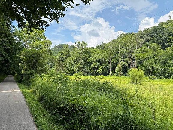 4th image of 0 Myers Fork Rd