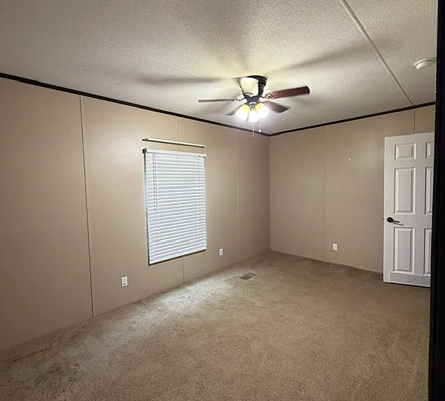 116 Courtney Paige Loop — Photo 19