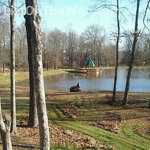 lake view from home