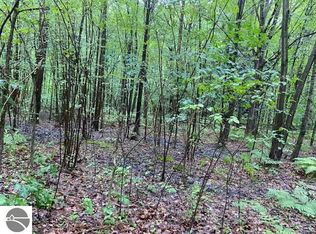 E Broomfield Rd, Mount Pleasant, MI 48858