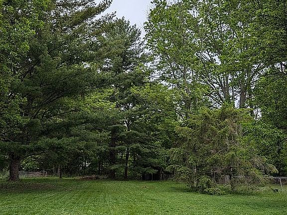 View from back porch