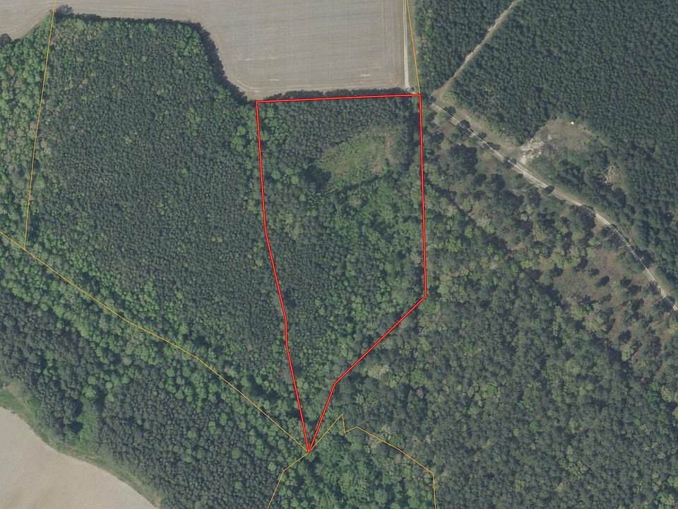 1st image of 141 Tall Cotton Road