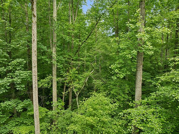 3rd image of 0 Davis Hollow Rd