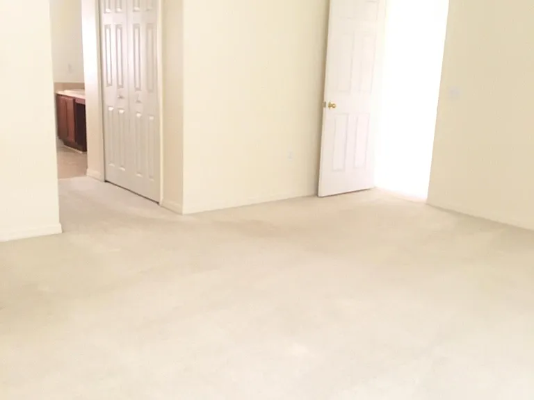4459 Cherry Branch Ct — Photo 14