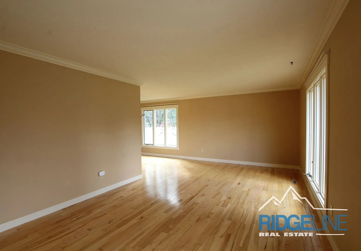 3 bed, 2.0 bath, 1584 sqft, $2,300 — Photo 4