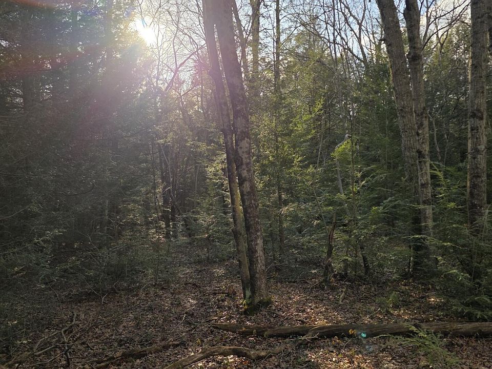 1st image of Snowy Rdg